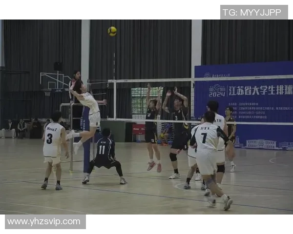 杭州排球队在排球意识排行榜中荣获第二名展现出强大实力与团队合作精神