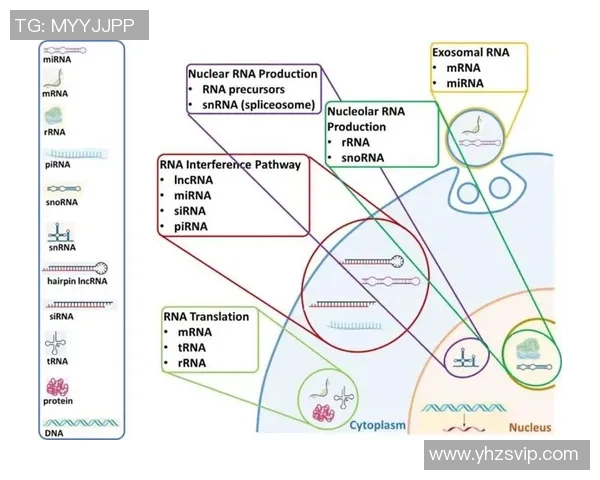 武汉足球队防反战术革新探索与实践的深度分析与展望